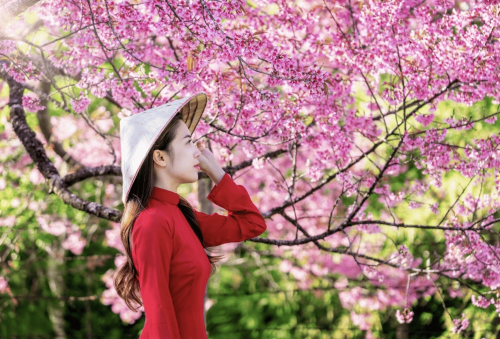 Spring in Vietnam is mild, festive, and full of blooming flowers—perfect for travel https://www.freepik.com/free-photo/woman-wearing-vietnam-culture-traditional-cherry-blossom-park_13181000.htm#fromView=search&page=1&position=1&uuid=0c49ca53-f490-453c-92b5-6e4c2e84635e&query=spring+vietnam