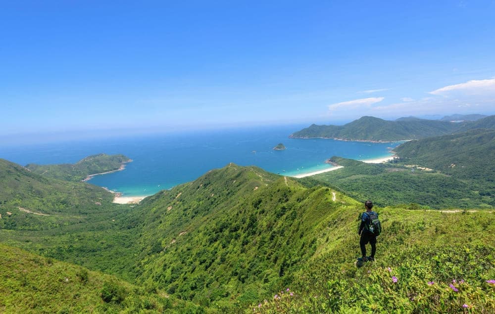Hai Van Pass is one of Vietnam’s most scenic coastal roads, famous for its thrilling curves and panoramic ocean views (Source: Freepik)