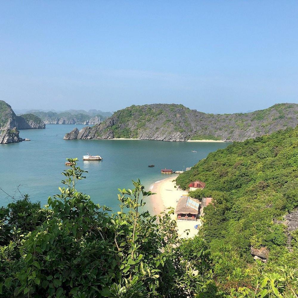 A view of Monkey Island Beach from above