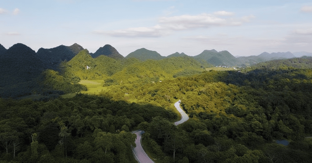 Cuc Phuong National Park - the oldest national park in Vietnam
