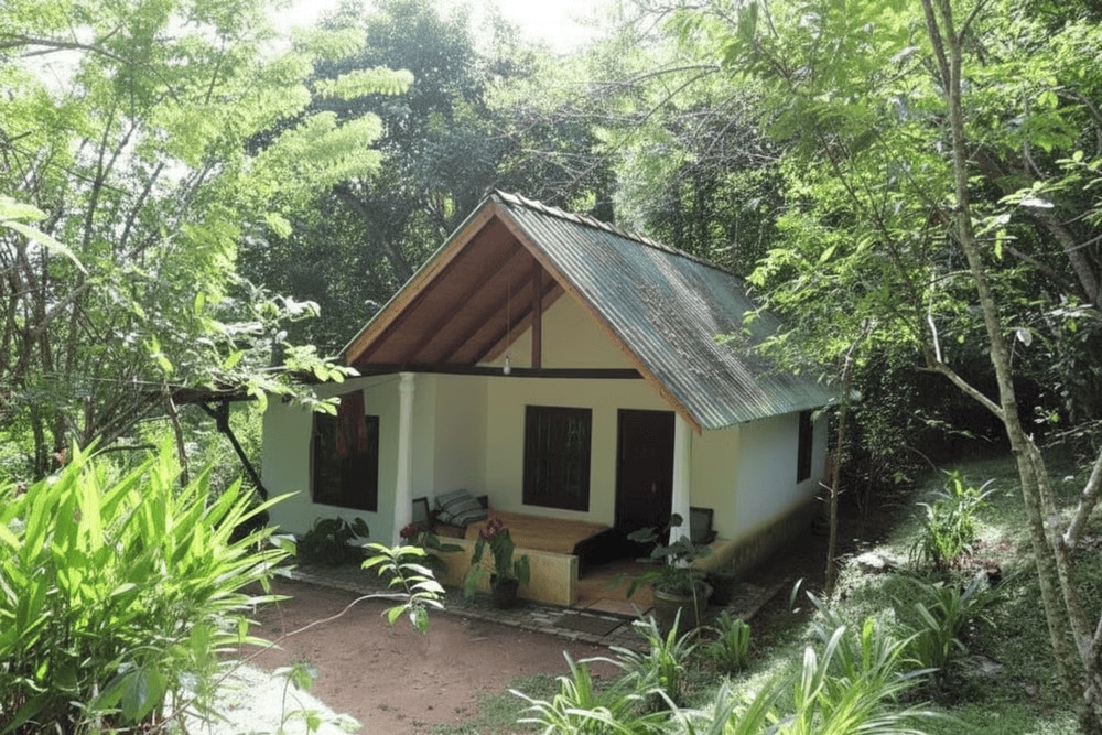 Family homestay in Cuc Phuong National Park surrounded by forest, immersed in nature