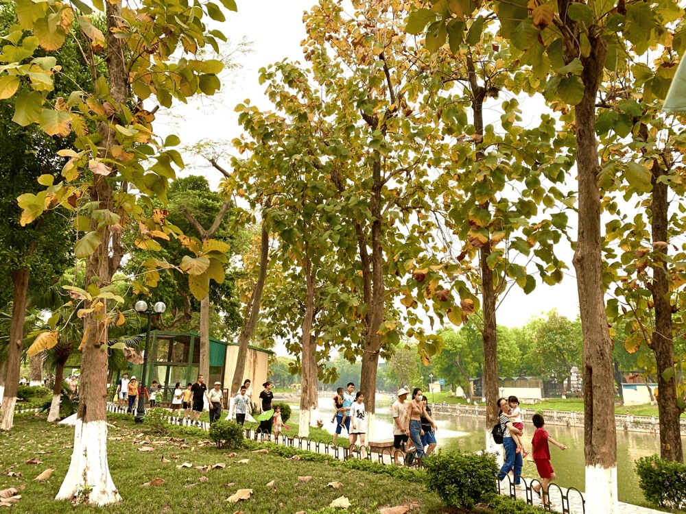 Relax and enjoy a picnic surrounded by nature and the sounds of wildlife (Source: Fanpage VƯỜN THÚ HÀ NỘI)