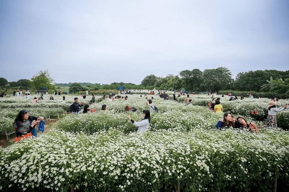 Red River Flower Garden is a popular place with both locals and tourists