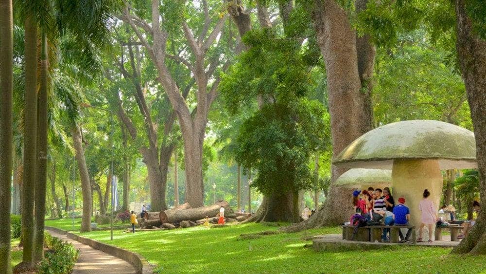 Ideal entertainment spot for the whole family