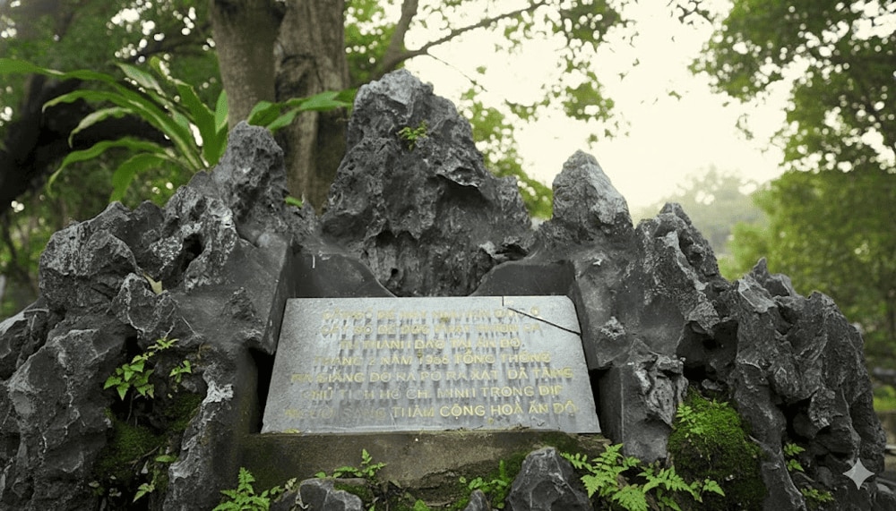 Cây bồ đề là minh chứng cho tình hữu nghị lâu đời giữa Việt Nam và Ấn Độ