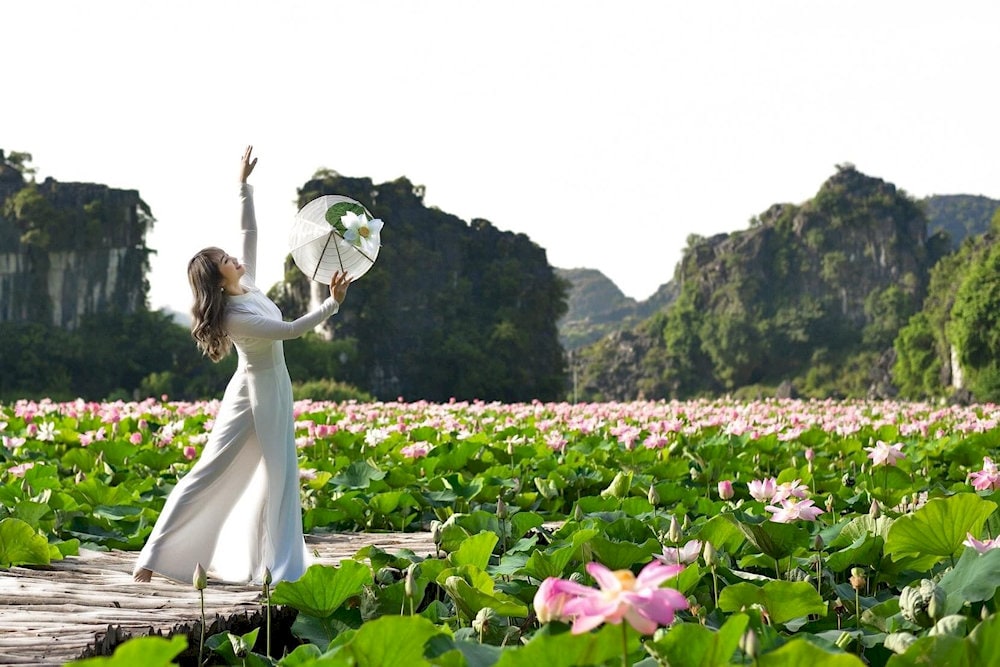 Stroll through the dreamy lotus pond via a bamboo path, best enjoyed in full bloom season