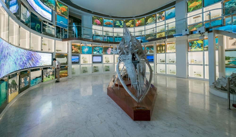 If you are a nature lover, you should not miss this area