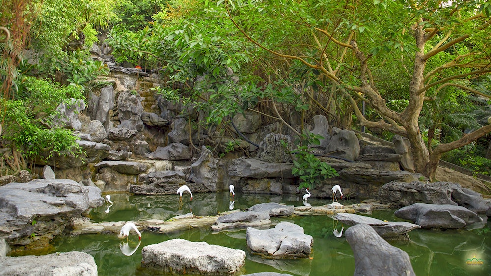 The tranquil space at Tu Bi Waterfall