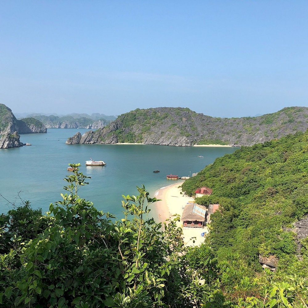 A view of Monkey Island Beach from above