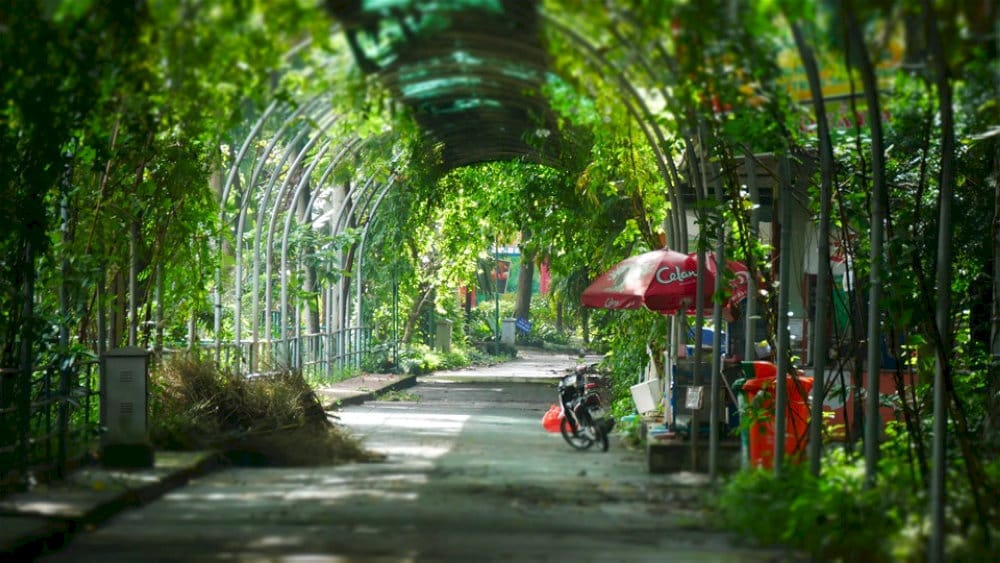If you're looking for a break from the city's constant motion, there's no better place than this garden within the zoo grounds